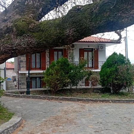 Villa Iris Mystras Exterior photo
